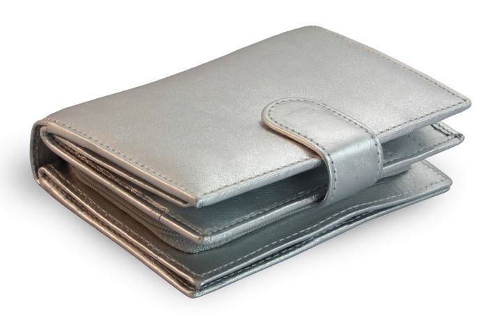 Stříbná dámská kožená peněženka Kendall