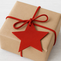 Červená vánoční ozdoba hvězda Gallo