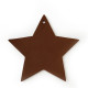 Hnědá vánoční ozdoba hvězda Gallo
