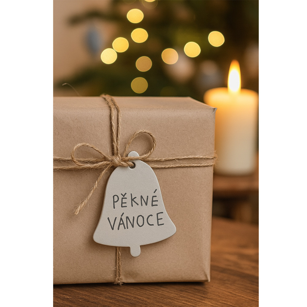 Světle šedá vánoční ozdoba hvězda Gallo